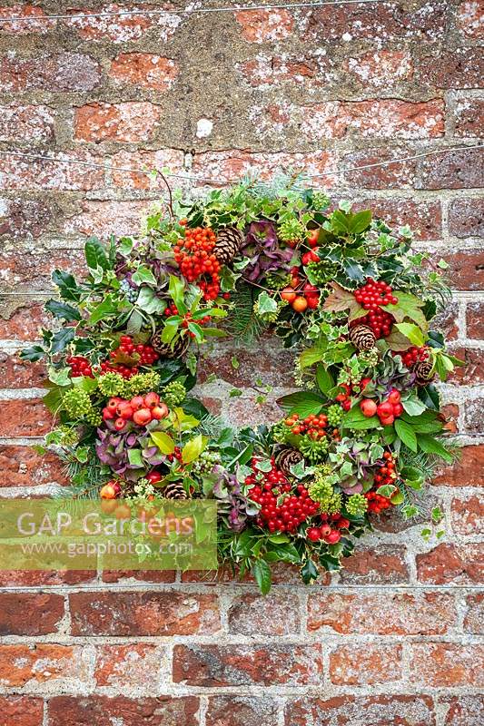 Wreath hanging on old red brick wall with holly, crab apples, fir cones, ivy, guelder rose berries and hydrangeas