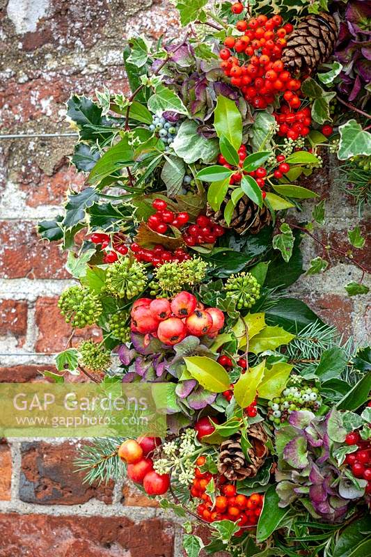 Christmas wreath hanging on old red brick wall with holly, crab apples, fir cones, ivy, guelder rose berries and hydrangeas