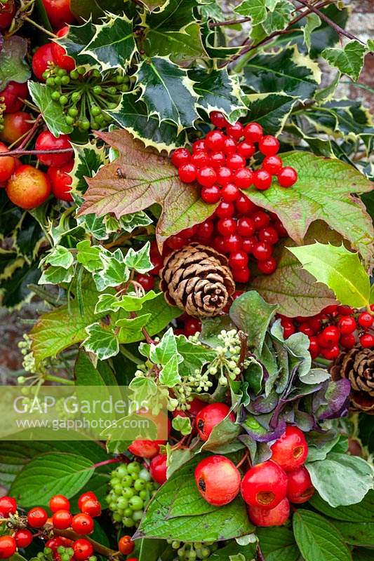 Christmas wreath detail with crab apples, holly, ivy flowers, hydrangeas and viburnum berries