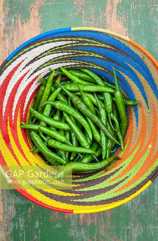 Capsicum - Chilli Pepper fruit in a colourful basket