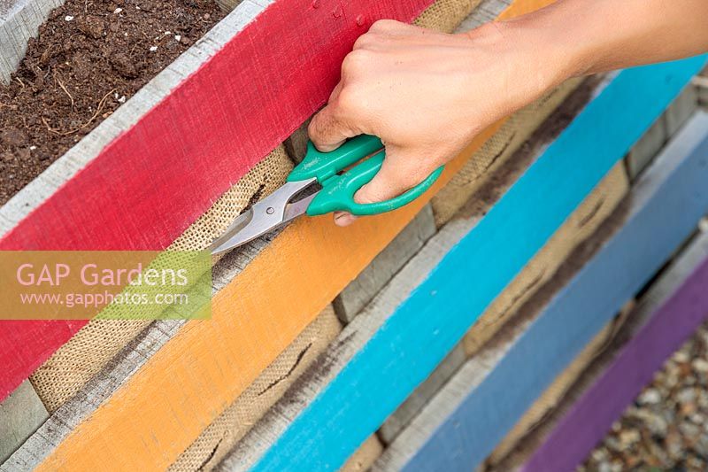 Using a pair of garden scissors to cut planting holes into hessian lining