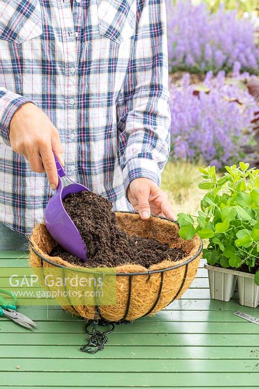 Woman filling hanging basket with compost. 