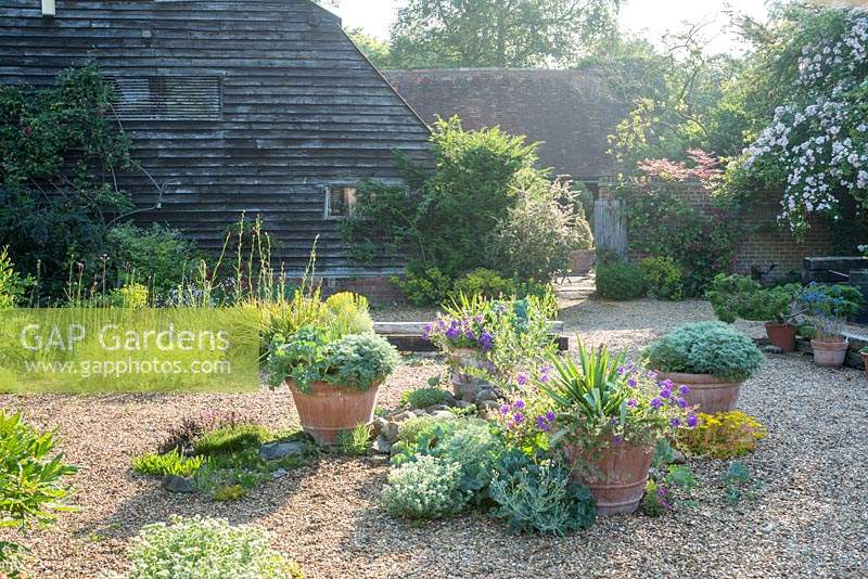 View of gravel courtyard surrounded by old barns, gravel with containers and low-growing perennials