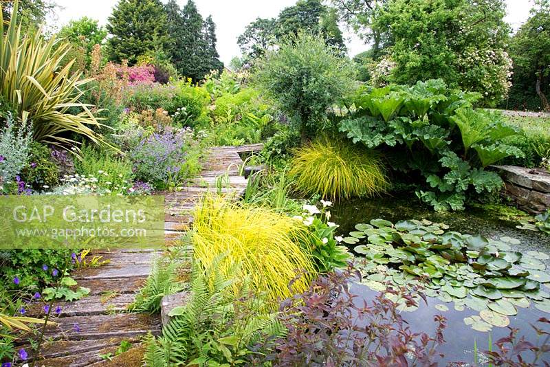 Natural pond with aquatic and marginal planting, to one side a deck boardwalk with mixed border