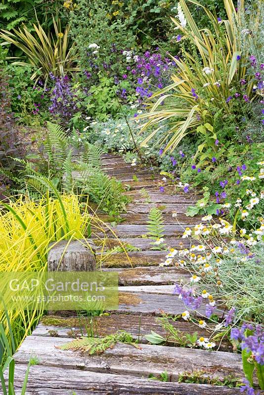 Wooden walkway with mixed border