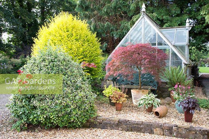 Greenhouse with a gravel area in front with shrubs and small pots containing Heuchera, Acer palmatum and fern 