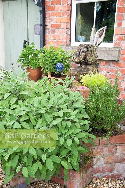 Small herb garden in brick raised beds near house