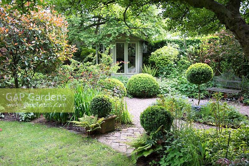 Shaded small town garden with Buxus - Box - topiary, planting beds and summerhouse 