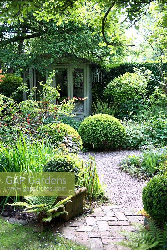 Shaded small town garden with Buxus - Box - topiary, mixed beds, gravel path and summerhouse