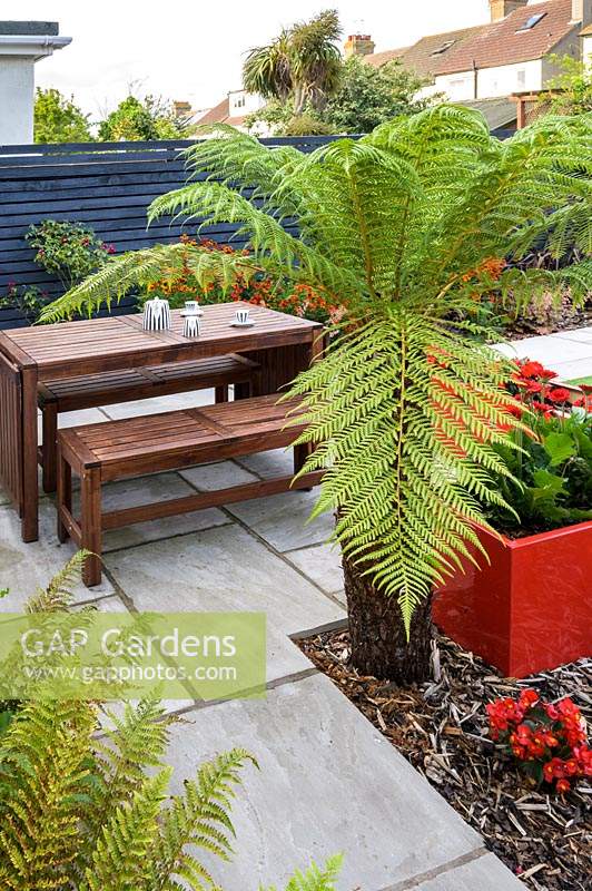 Modern Town Garden  - wooden table and benches, red planters with gerbera and tree fern