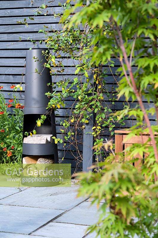 Modern Town Garden - wood burner and Acer.