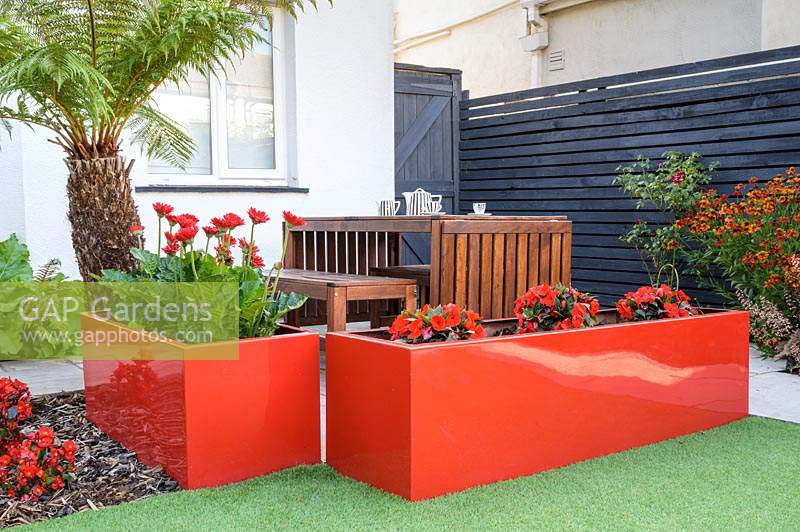 Modern Town Garden in Essex - wooden table and benches, red planters with gerbera and tree fern.