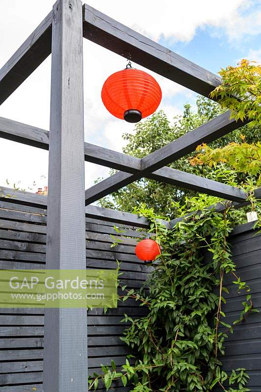 Modern Town Garden in Essex - black pergola and red paper lantern
