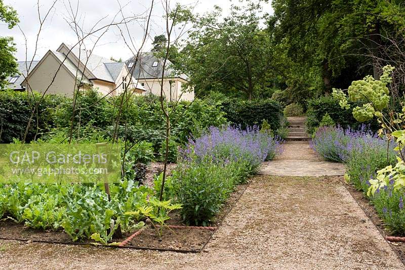The Kitchen Garden and path leading to driveway. 
