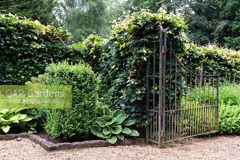 Gate to the Kitchen Garden Herbaceous Walk