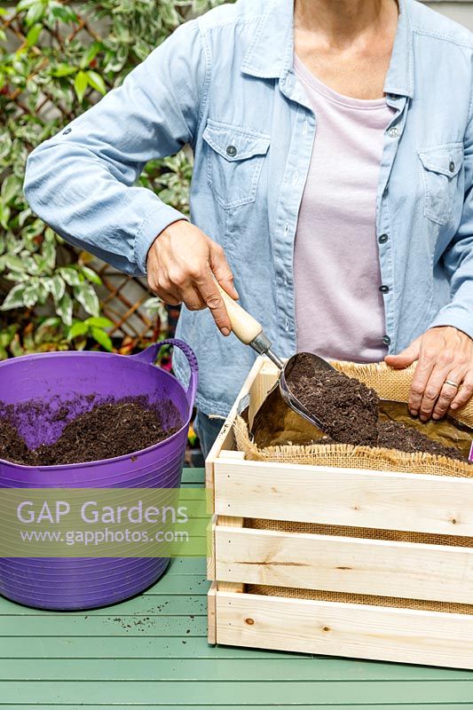Woman using a metal scoop to add compost to a wooden crate