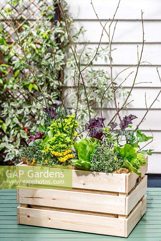 Edible Crate - wooden crate planted with herbs, vegetables and flowers