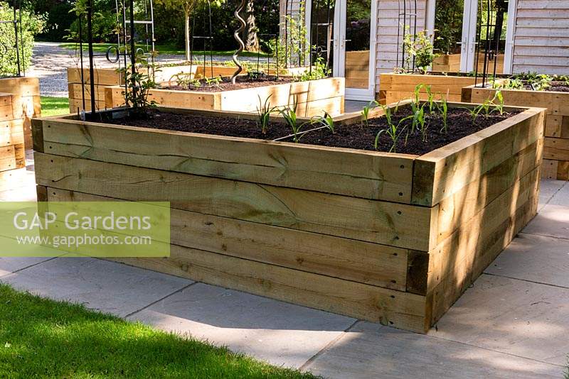 Raised vegetable beds made from modern wooden sleepers, on paved surface