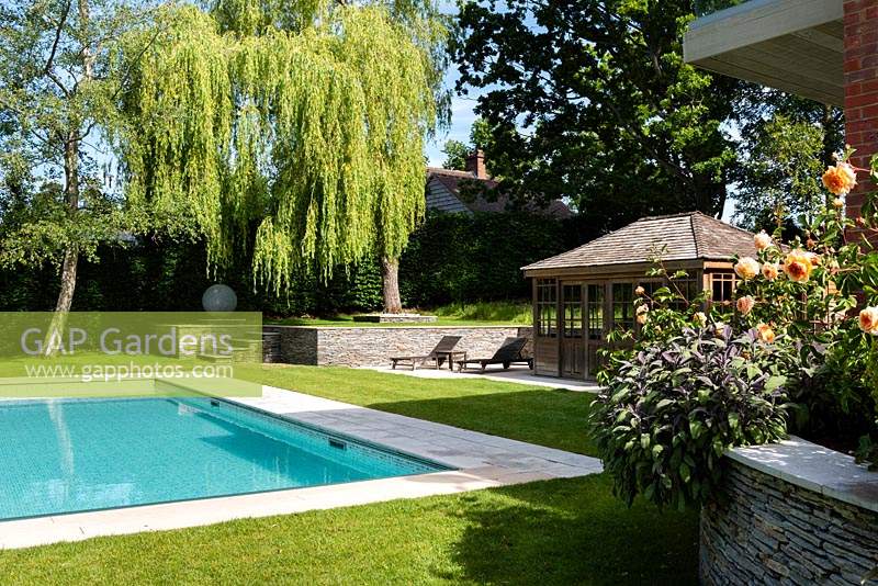 Modern garden with swimming pool