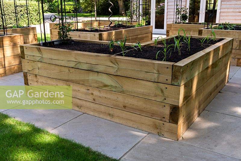 Raised beds made out of modern wooden sleepers, on paved surface, recently-planted with vegetables