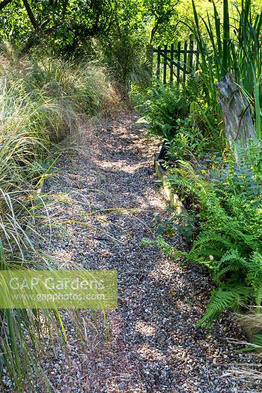 Dappled shade on the gravel pathway leading to the picket gate, bed with Stipa arundinacea and Dryopteris filix-mas
