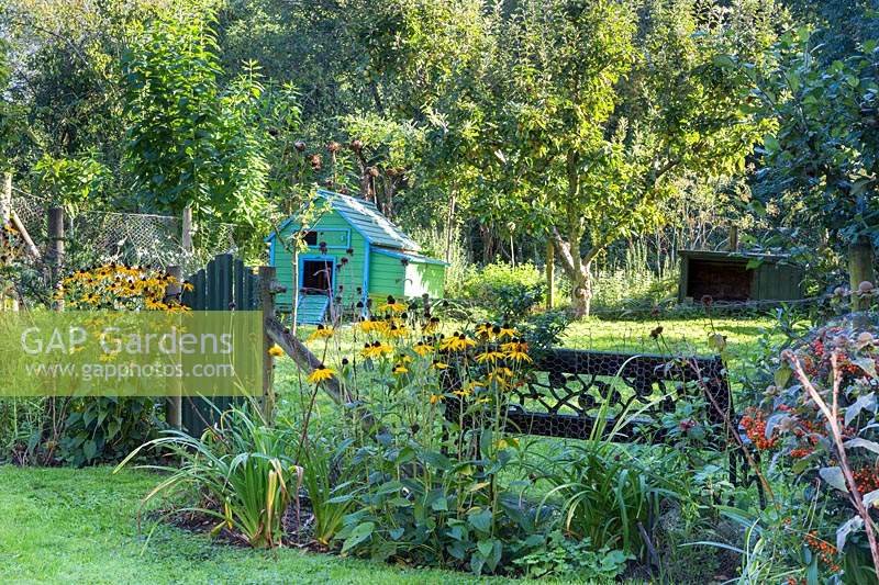 Informal country garden with Rudbeckia fulgida var. sullivantii 'Goldsturm', wooden gate, chicken run and bench with trees beyond  