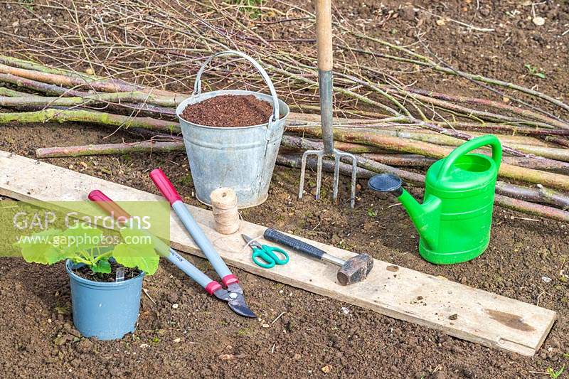 Tools and materials required to make a hazel pole support for a butternut squash plant