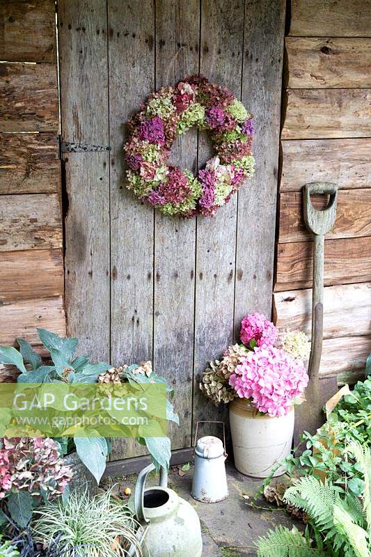 Finished Hydrangea wreath on rustic wooden door