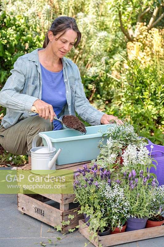 Woman adding compost to a plastic trough using a metal scoop. 
