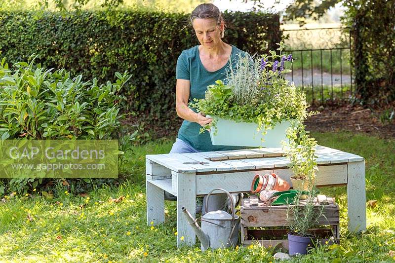 Woman inserting a plastic trough planted with herbs into a wooden table. 