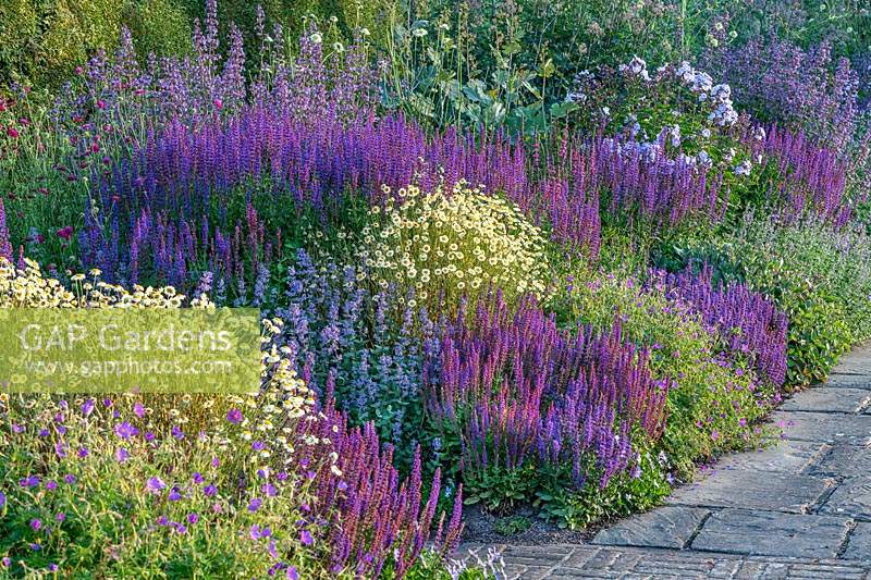 Colourful Herbaceous Border at Town Place