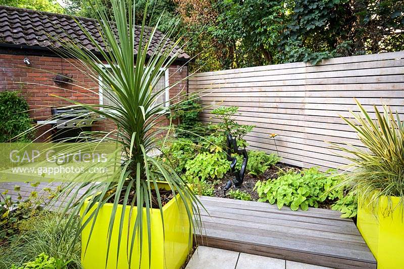 Cordyline in large square yellow container in small modern garden