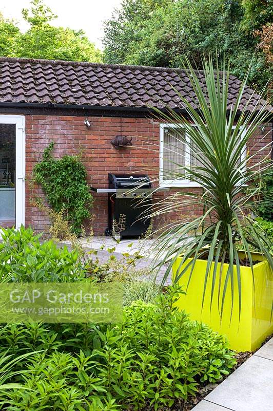 Small Modern Garden  with outdoor cooker and Cordyline in yellow pot