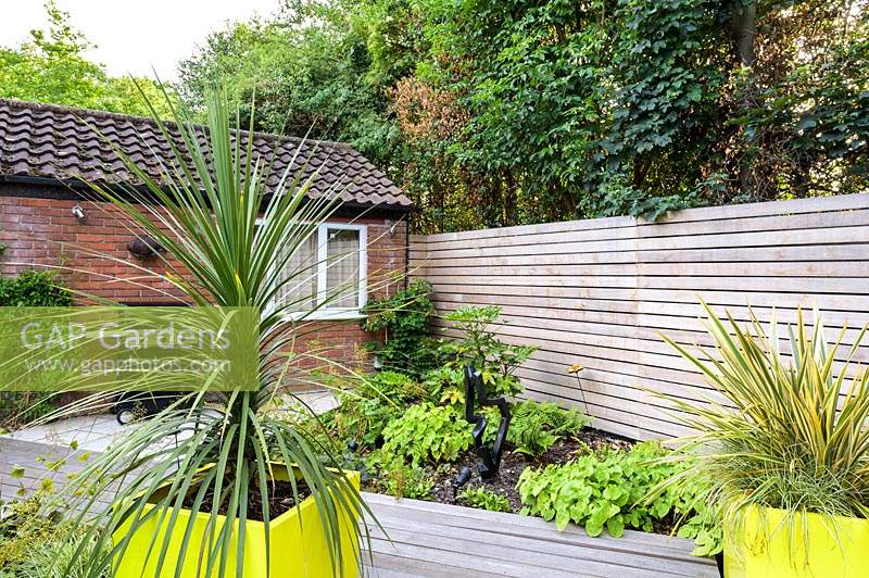 Small Modern Garden with Cordyline in yellow pot