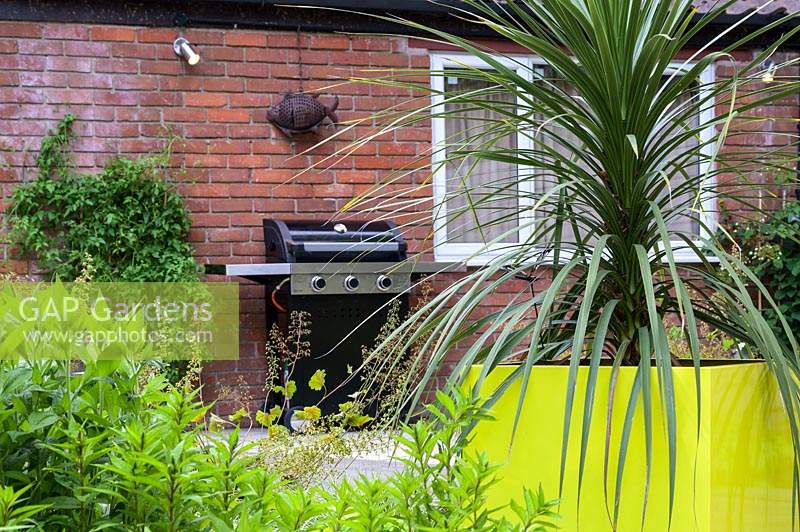 Small Modern Garden with outdoor cooker and Cordyline in yellow pot