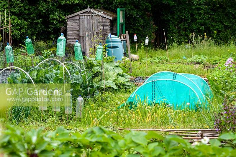 Allotments in June. 
