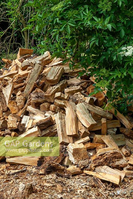 Pile of split logs for firewood - Open Gardens Day, Topcroft, Norfolk