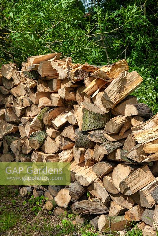 Stack of split logs for firewood - Open Gardens Day, Topcroft, Norfolk