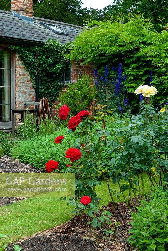 Manured beds of roses, herbs and perennials - Open Gardens Day, Cratfield, Suffolk