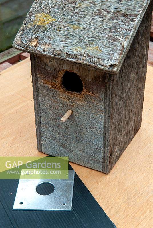 Old bird box in need of repair, showing damage to roof and enlargement of entry hole by other predatory birds