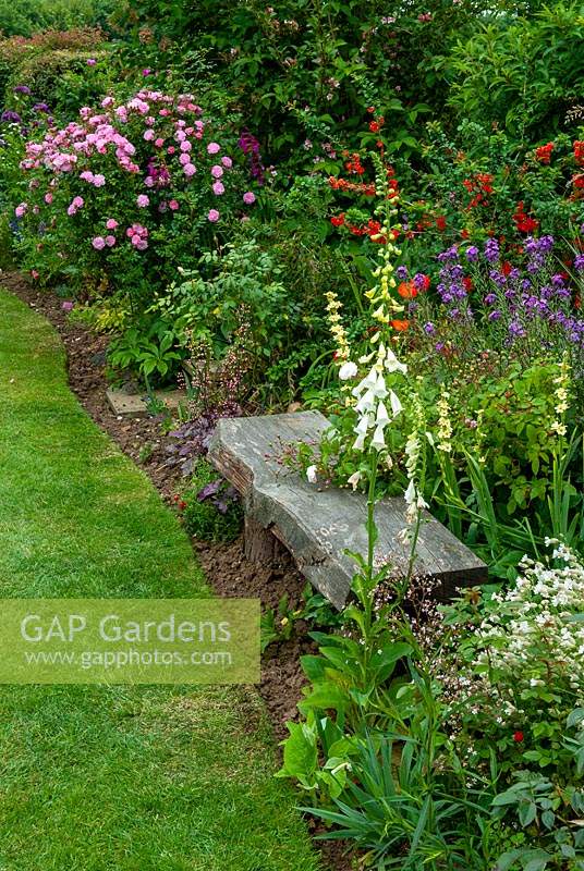 Rustic garden seat set into well stocked border with Roses, Chaenomeles japonica - Japanese Quince, Erysimum linifolium 'Bowles Mauve' - Everlasting Wallflower and Digitalis - Foxgloves - Open Gardens Day, Drinkstone, Suffolk