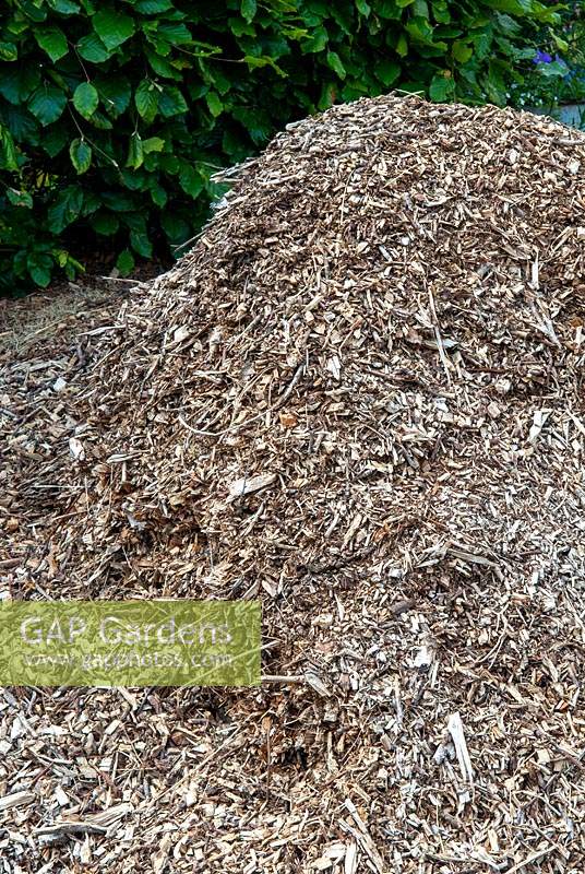 Heap of wood chippings awaiting use as mulching material - Open Gardens Day, Friston, Suffolk