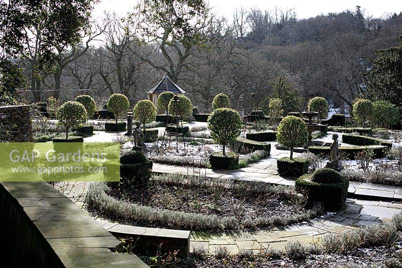 Parterre, overview with lollipop topiary, paths and beds