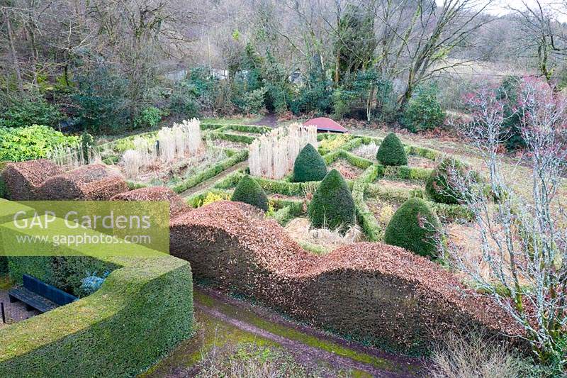 View over the Grasses Parterre. Wave-form hedges of Fagus sylvatica. Cones of Taxus baccata. Low hedge of Buxus sempervirens. 