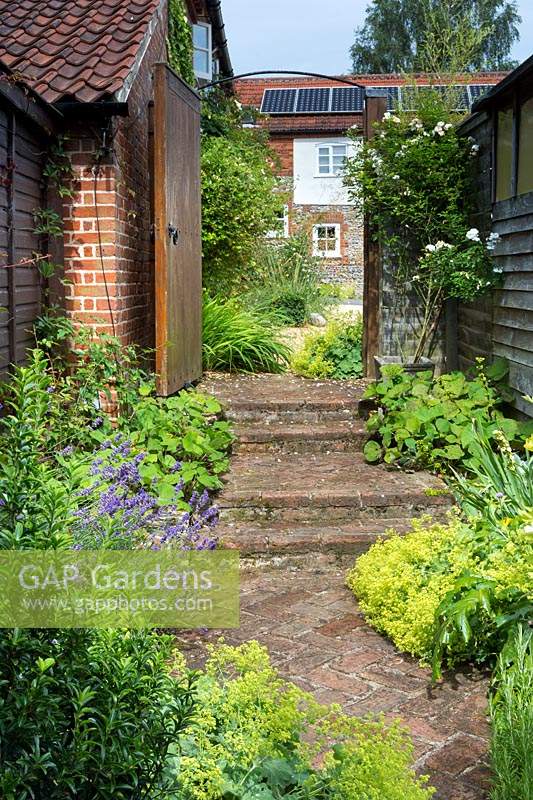 Brick pathway with shallow steps next to the barn leading to the road, edged with Alchemilla mollis, Lavandula 'Munstead' - Lavender