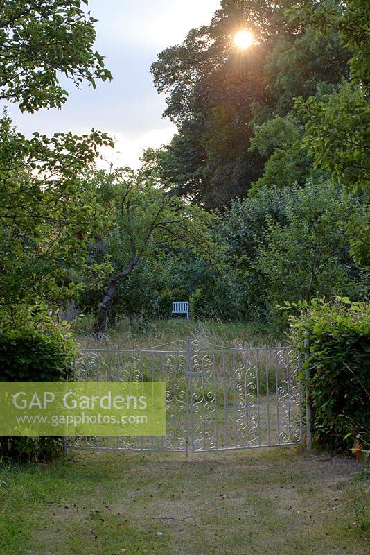 Ornamental gates to long grass area with fruit trees in the evening light