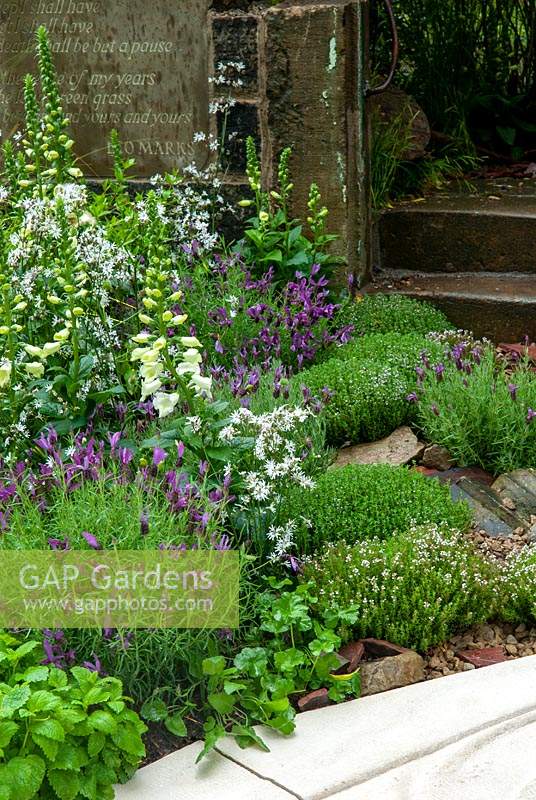 Perennial plants and herbs, with steps and engraved tablet - RHS Chelsea Flower Show