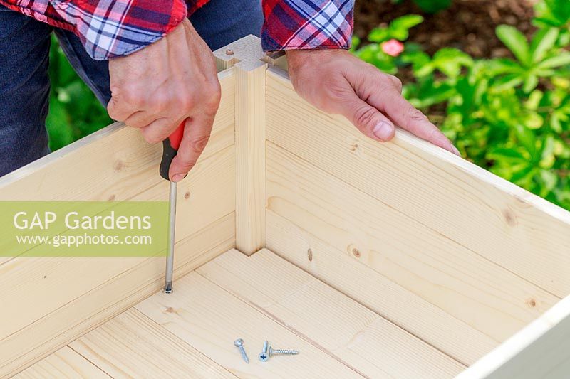 Using a screw driver to screw together wooden panels of a raised planter built from a kit