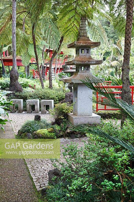 Lower Oriental-inspired garden set in a tropical garden with palms