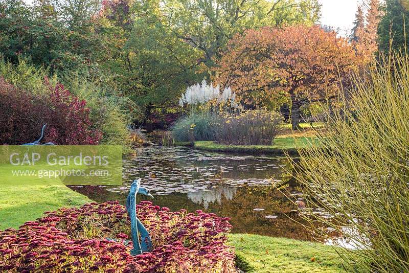 Heron sculptures by Cotinus coggyria 'Royal Purple' - Smokebush  and Swan sculptures in bed of Hylotelephium 'Herbstfreude' - Sedum 'Autumn Joy' - next to lake
